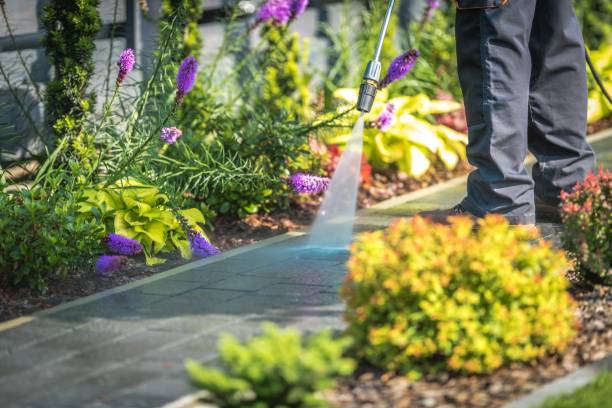 Professional  Pressure Washing Services in Lancaster, SC
