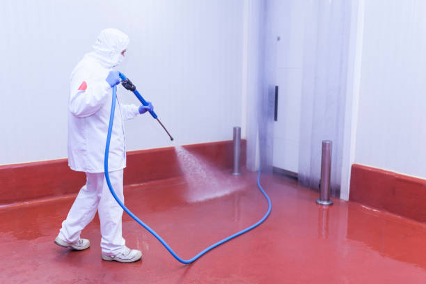 Best Paint Preparation  in Lancaster, SC